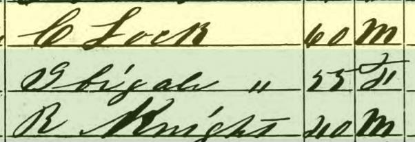 Knight 1860 census