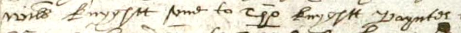 Thomas Knight "Paynter?"