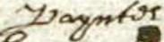 Paynter