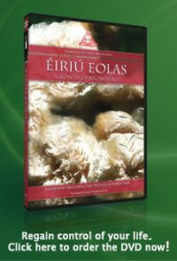 Eiriu Eolas - Heal your life!